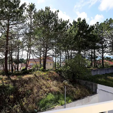 Casa de hóspedes Moradia Chicharro