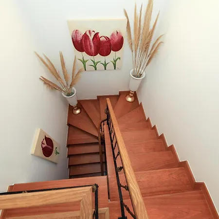 Moradia Chicharro Casa de hóspedes Nazaré