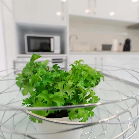 Casa de hóspedes Moradia Chicharro *