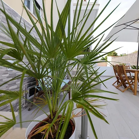 Moradia Chicharro 招待所 *