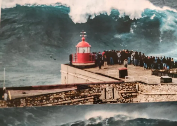 Moradia Chicharro Гостевой дом