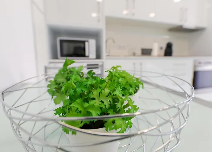 Гостевой дом Moradia Chicharro *